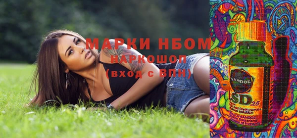 индика Балахна