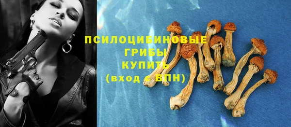 гашик Балабаново