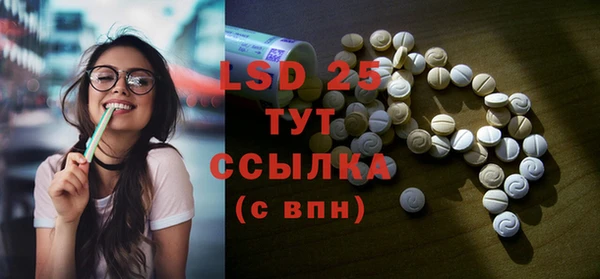 индика Балахна